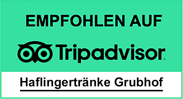 Tripadvisor