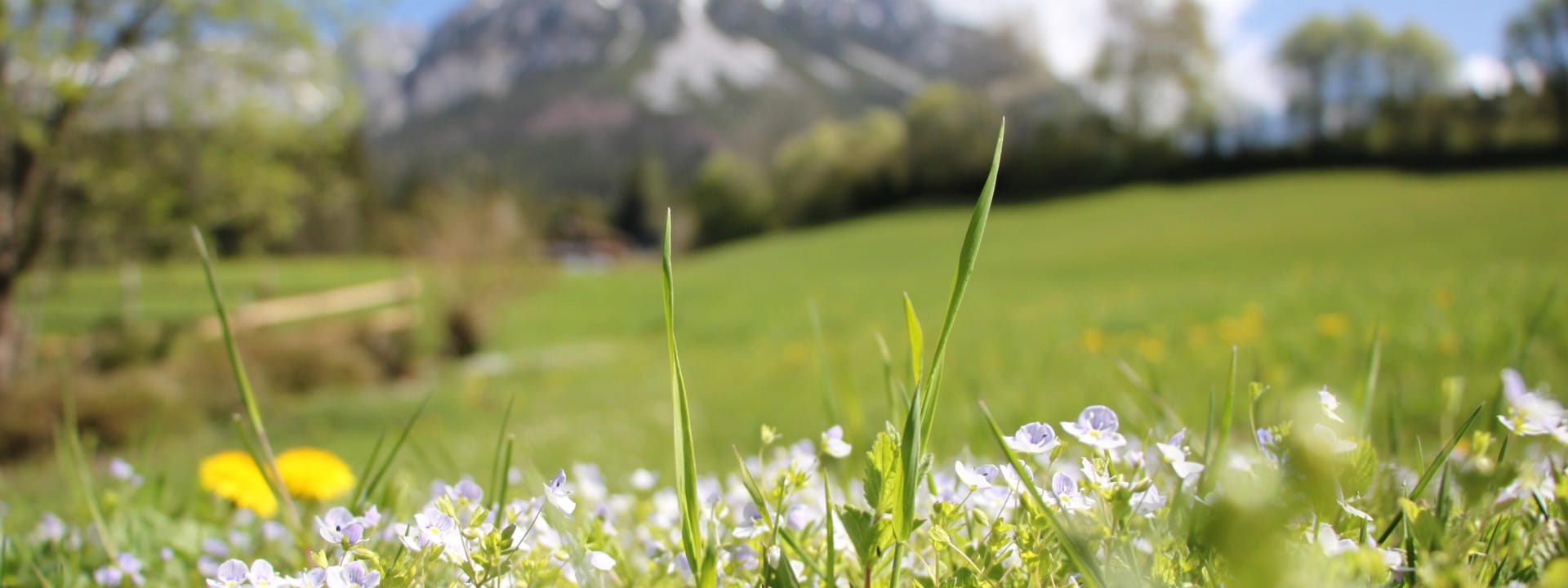 Wohnen in der Natur