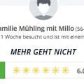 Haflingertränke